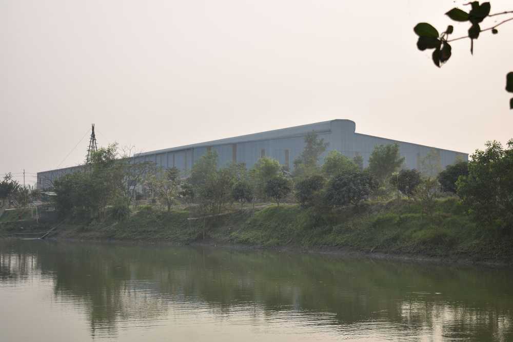 Natural Beauty of Sadia Group